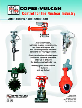nuclear valves